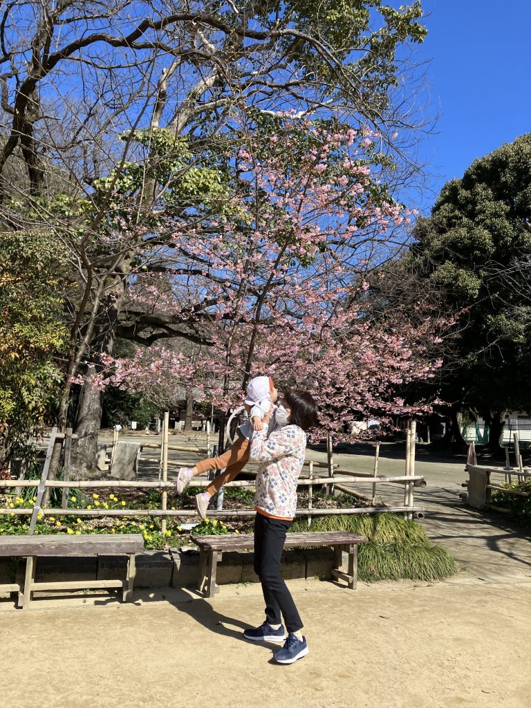🌸一宮市のお花見情報🌸