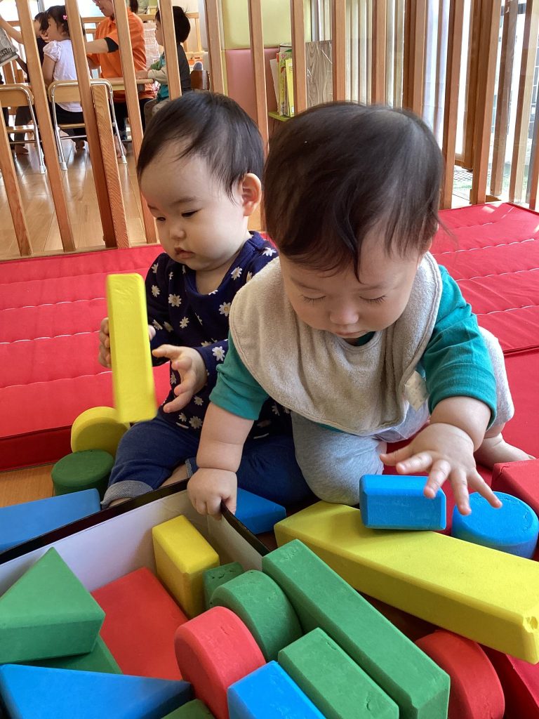 チューリップ咲いたよ🌷