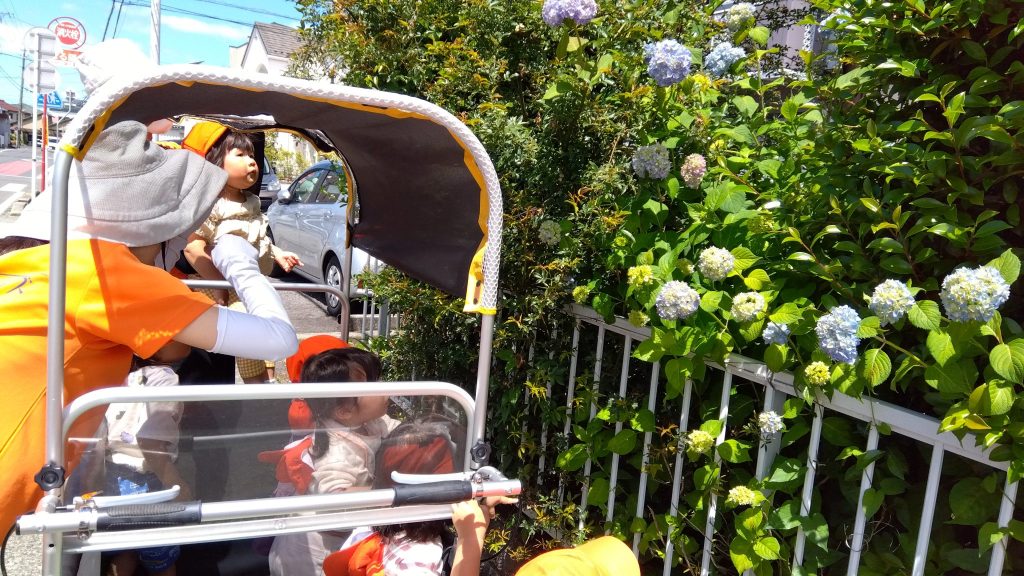 🌱大きくな〜れ〜❣️