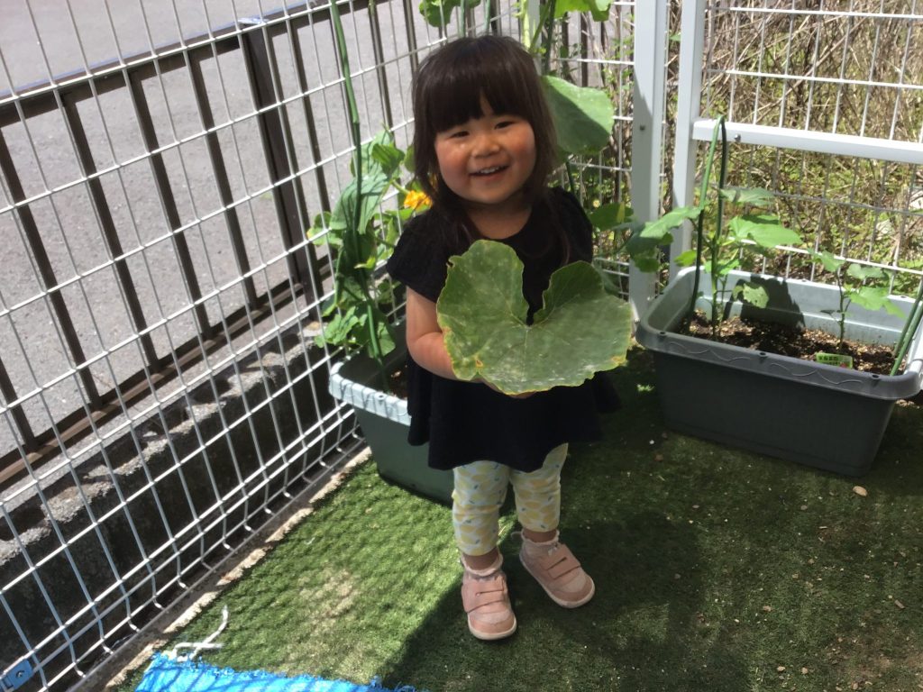 🧊冷んやり気持ちいいね🧊