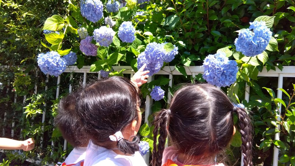 🐸梅雨の過ごし方🐸
