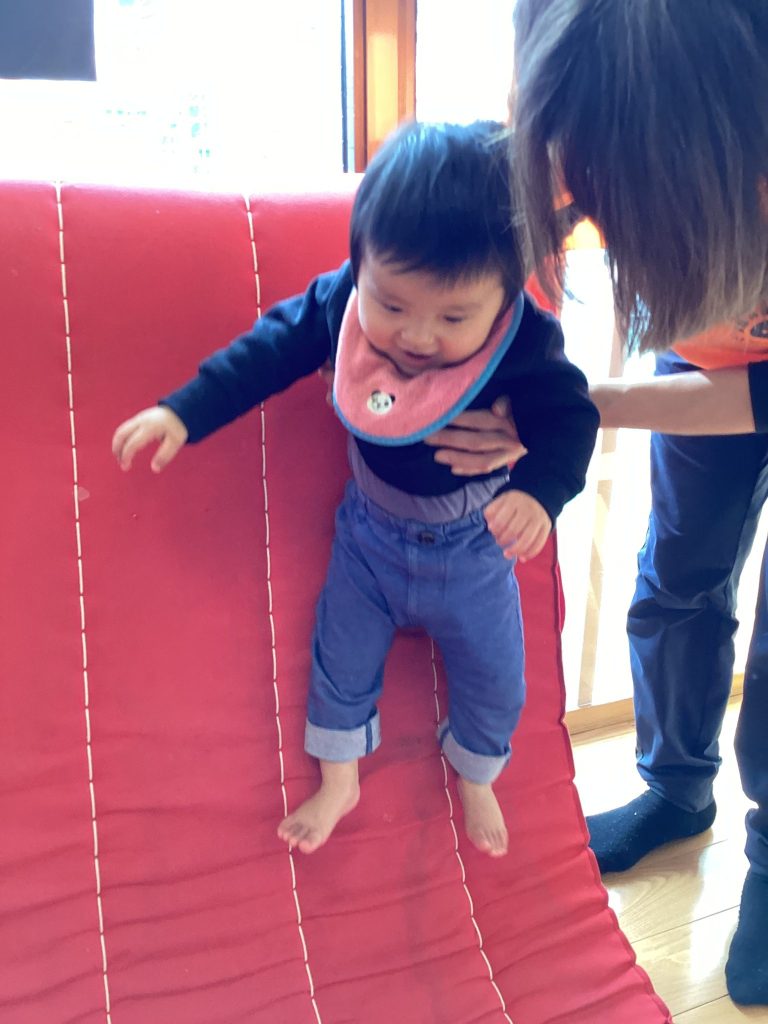 🤸体操カリキュラム🤸