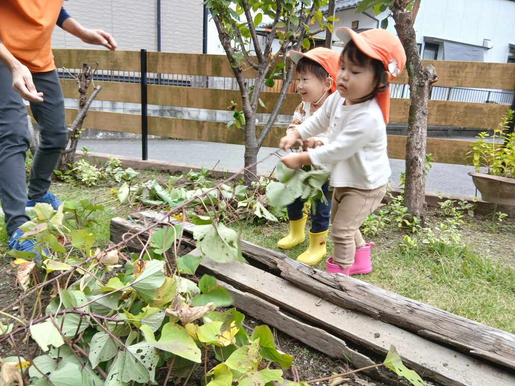 🍠お芋掘り楽しかったね🍠