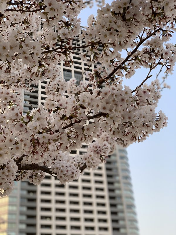 お散歩♪お散歩♪