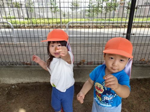 どんぐりころころ～?