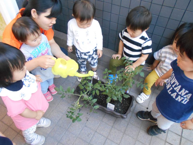 ☆大きくなあれ☆