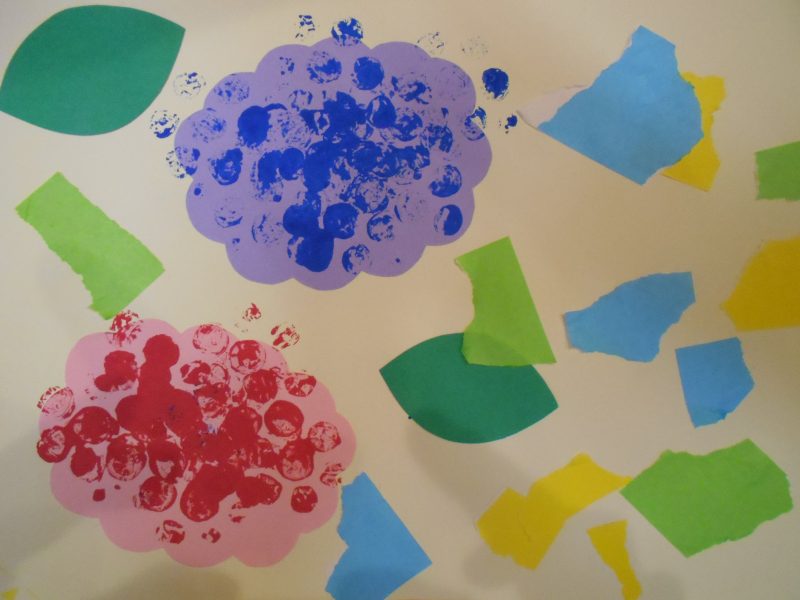 アジサイを咲かせよう！