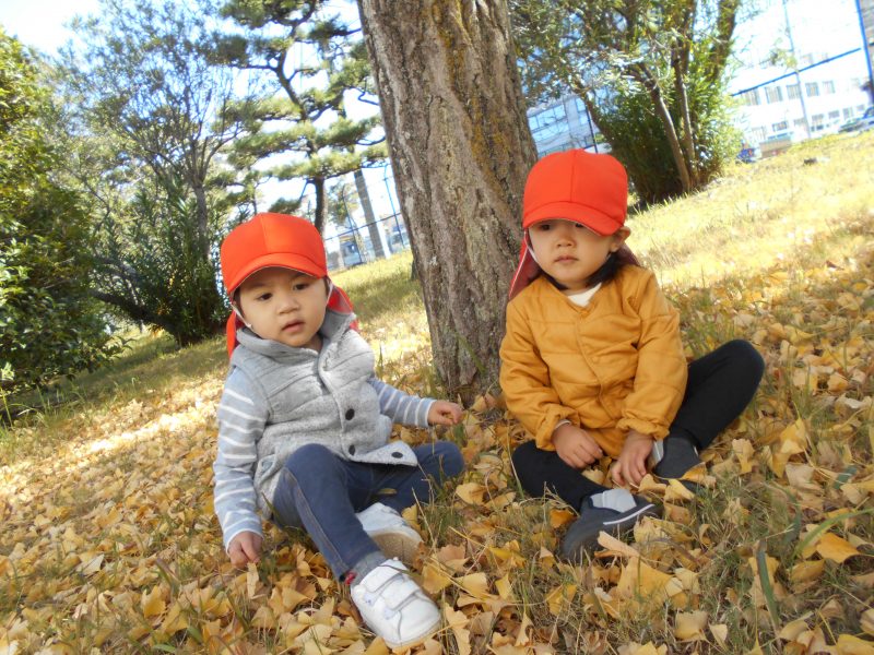 小さい秋みつけたよ♪