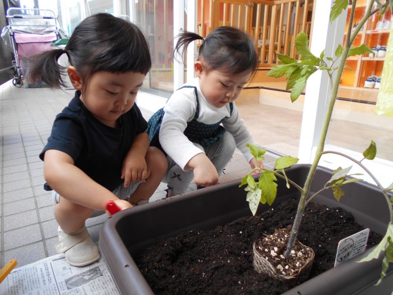 大きくな～れ☆彡
