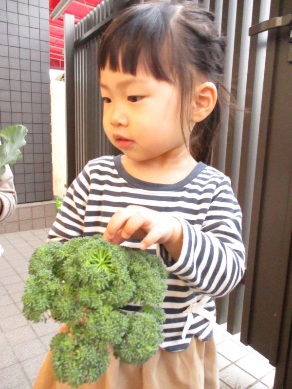 7月27日(木)の給食・おやつ