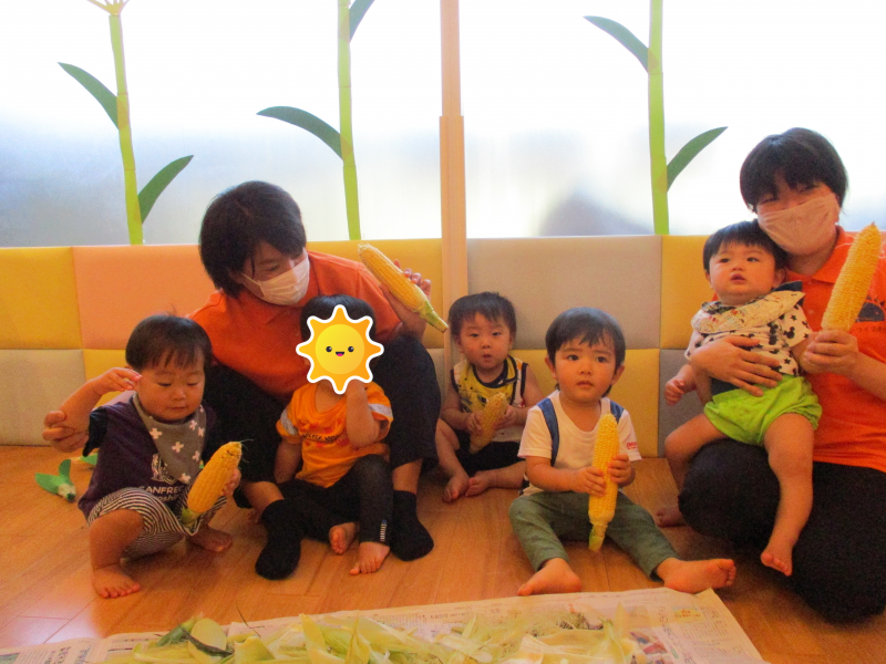 とうもろこし収穫！？?