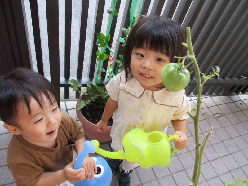 読み聞かせブログ7／28