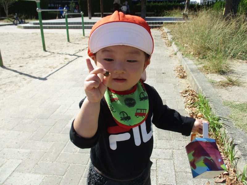 ちいさい秋み〜つけた！！