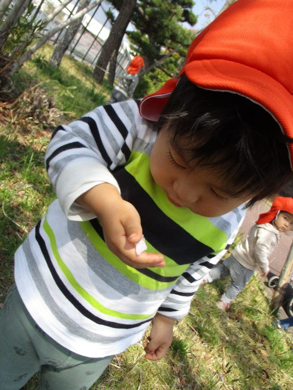 保育園の一日♪