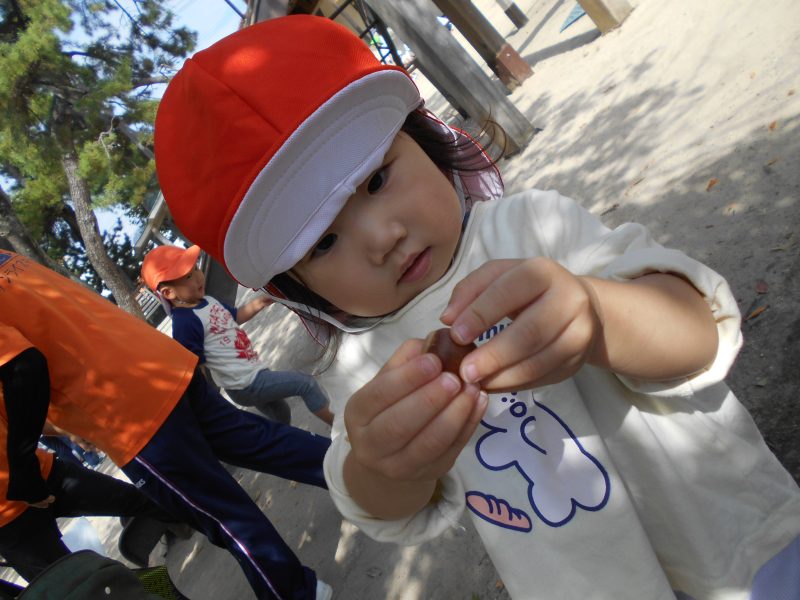 ちいさい秋みーつけた！