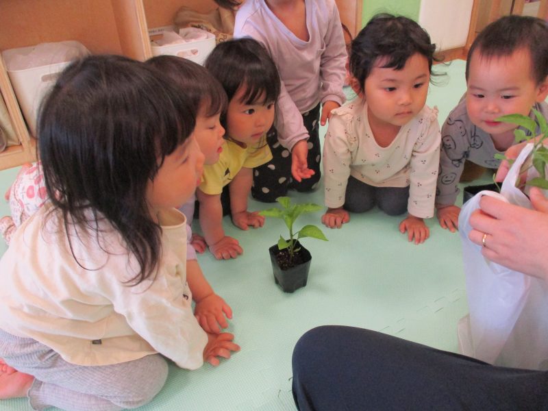 連休明けの一週間！！