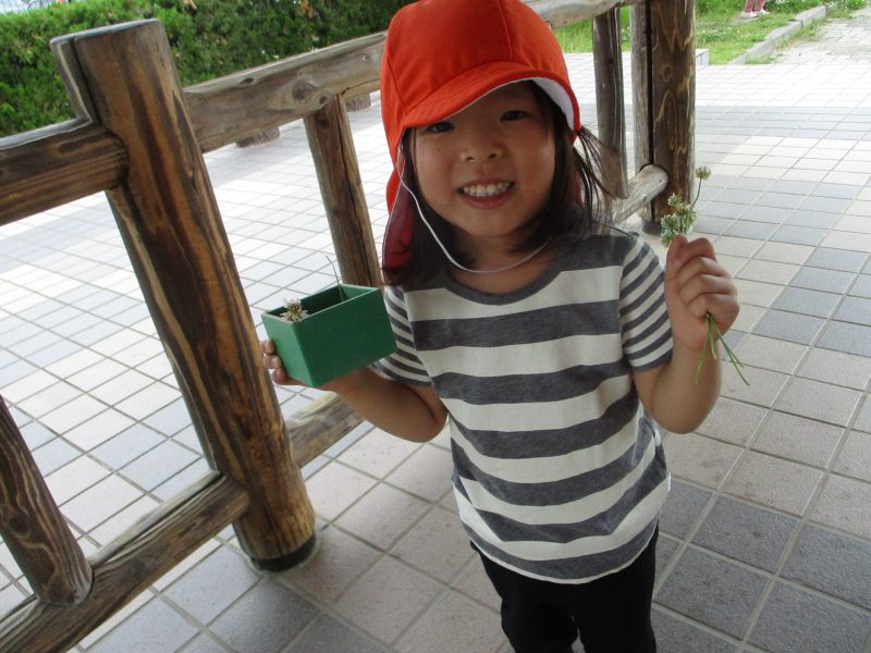 梅雨の晴れ間★