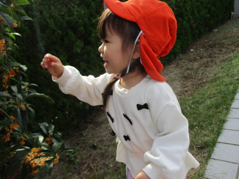 秋みーっけ！！