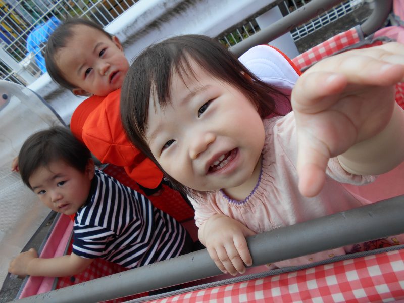 おさんぽで発見?✨