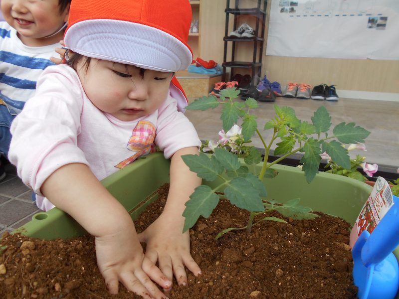 ?おおきくな～れ?