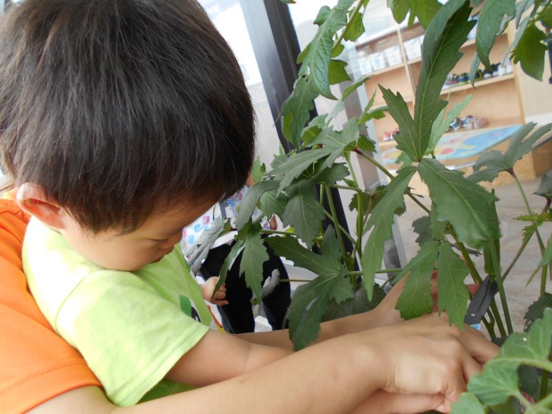 野菜???だいすき?