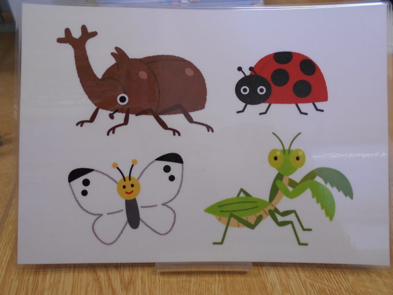 ✨夏を満喫しました✨