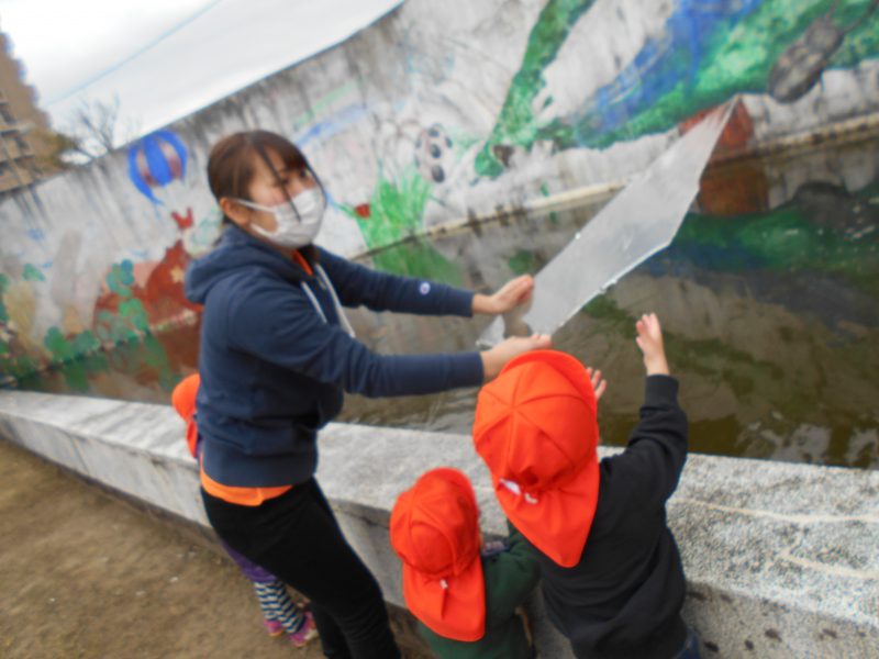 ⭐✨キラキラ✨⭐を発見?