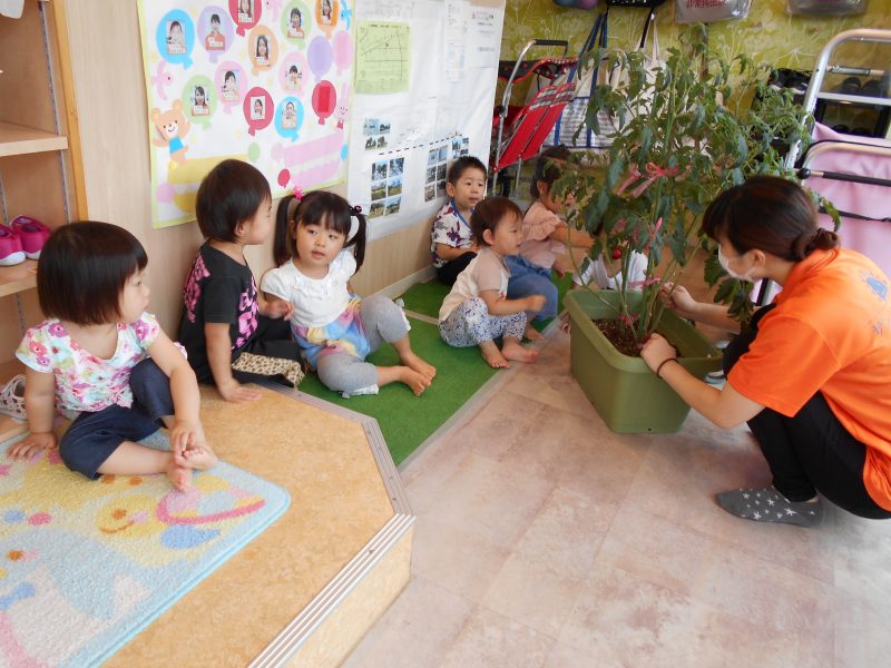 小さな野菜博士たち?