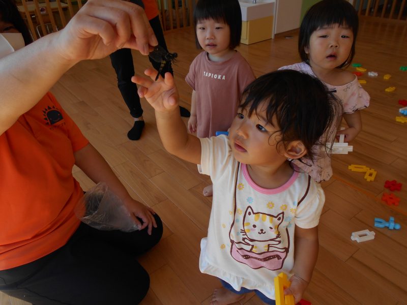 素敵なお客様?絵本ブログ?