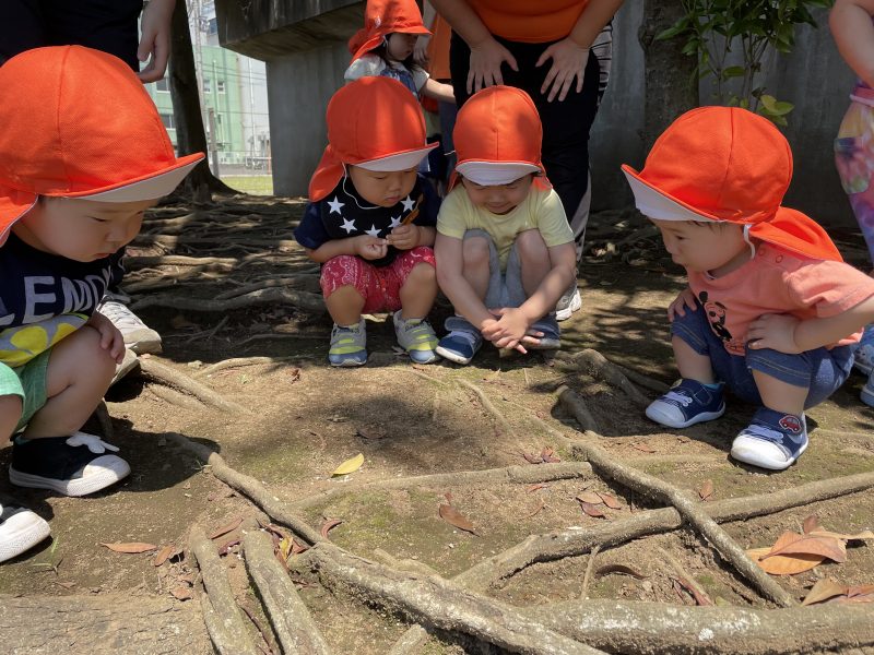 探索を楽しみました?