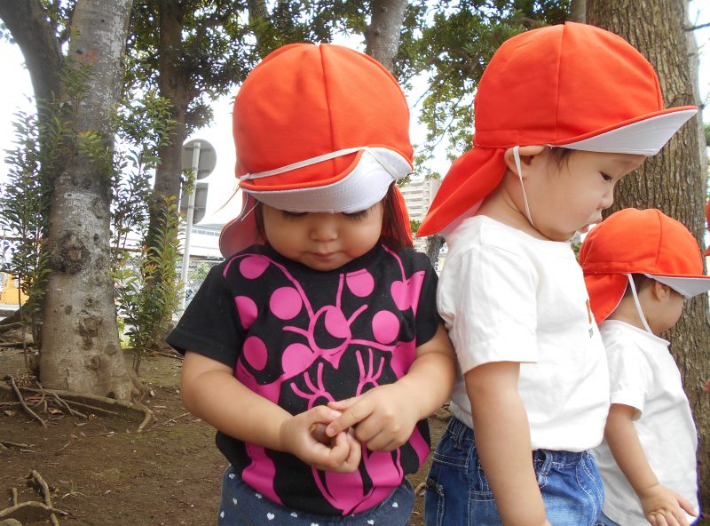 どんぐりころころ〜?✨