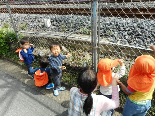 新しい散歩車で電車を見に行きました