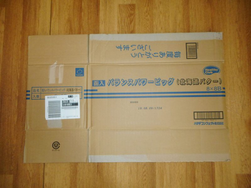 ごっこ遊びは楽しいな‼