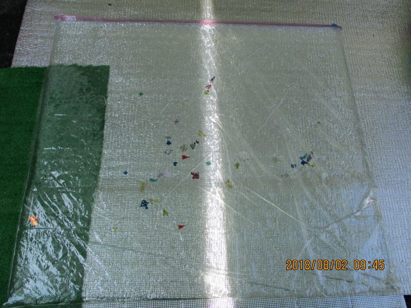 今週の子ども達(≧▽≦)