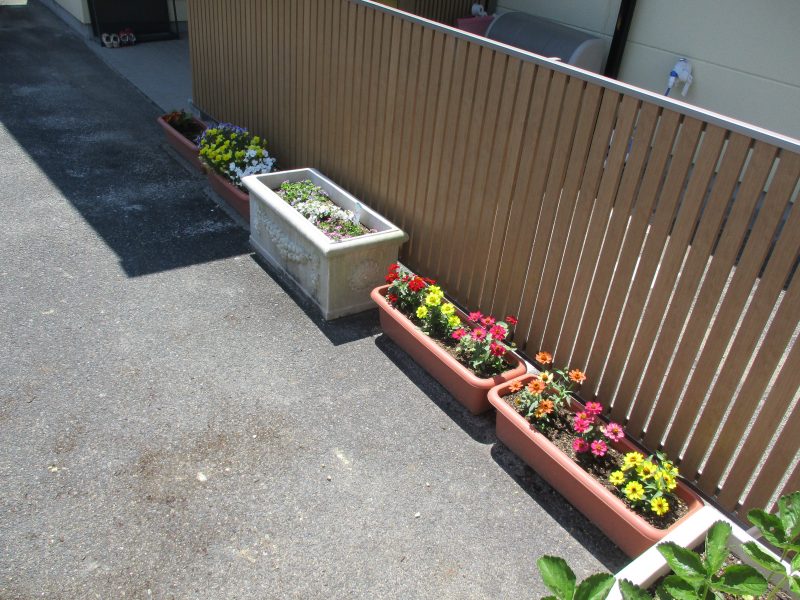 ?お花を植えましょう?