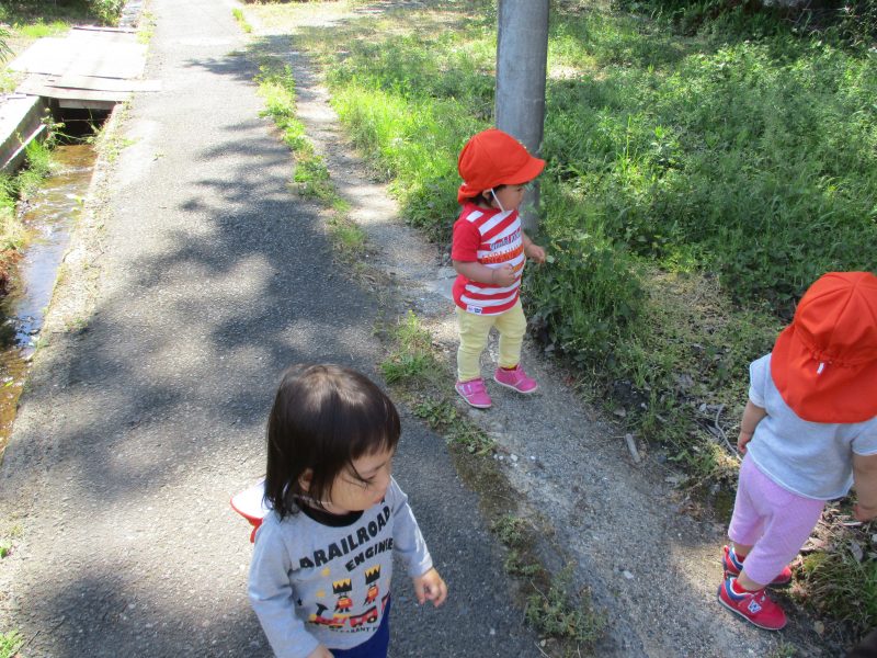 今週のこども達(≧▽≦)