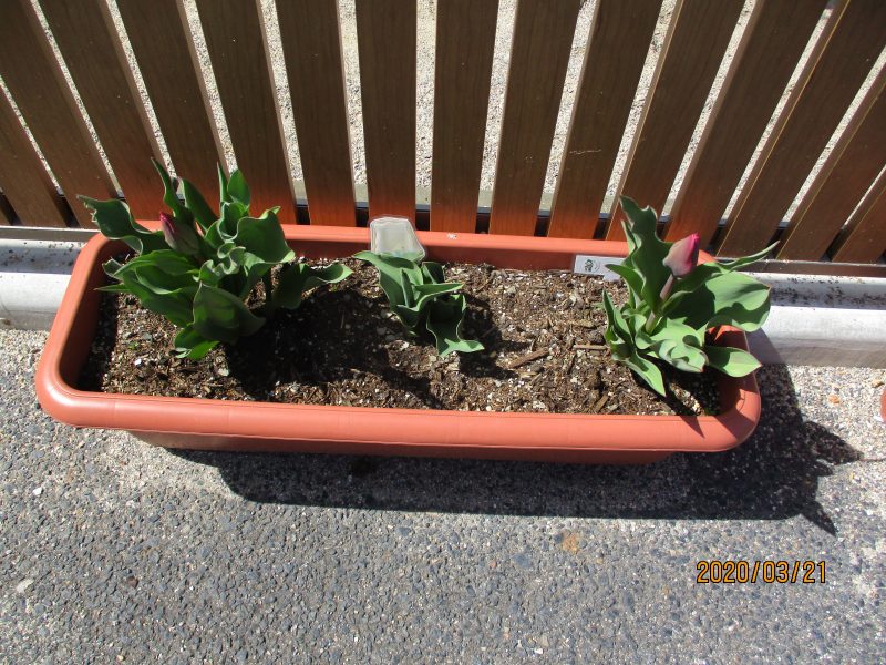 ★今週の子どもたち★