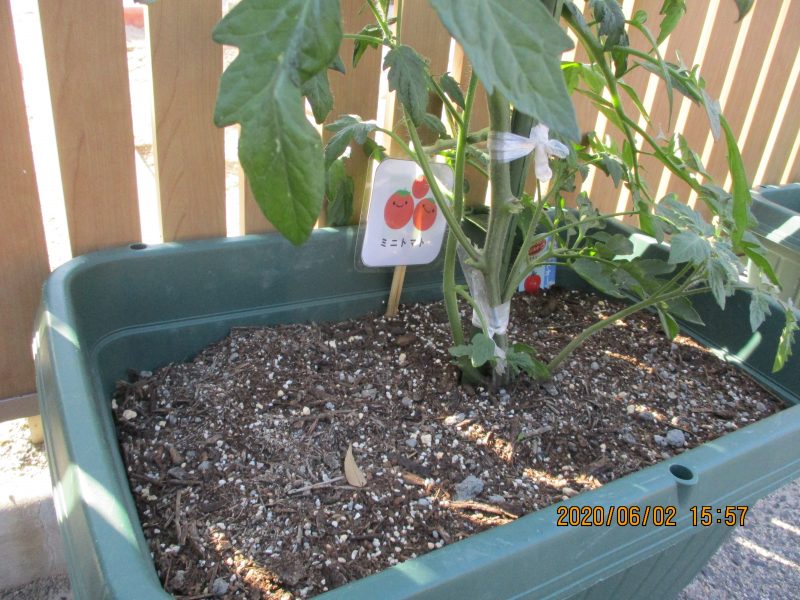 ★今週の子どもたち★