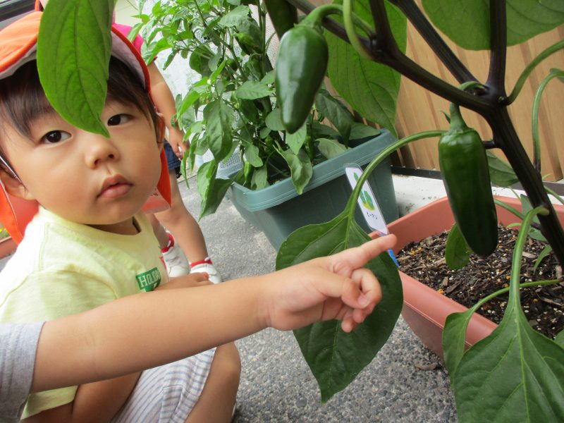 今週の子どもたち(≧▽≦)