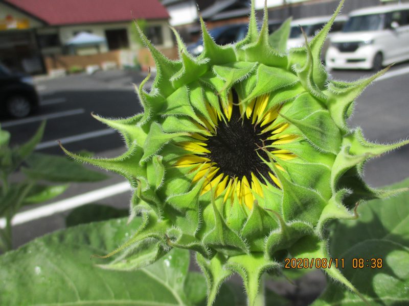 ♪今週の子ども達＆絵本ブログ⑦♪
