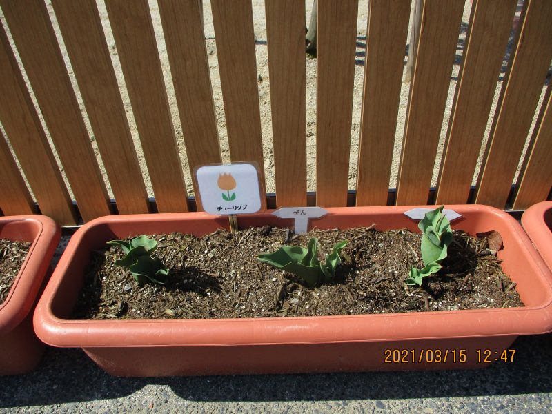 ６月１日(木)の給食・おやつ