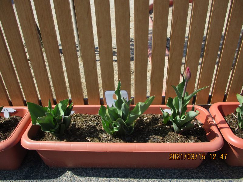 今週の子どもたち(≧▽≦)