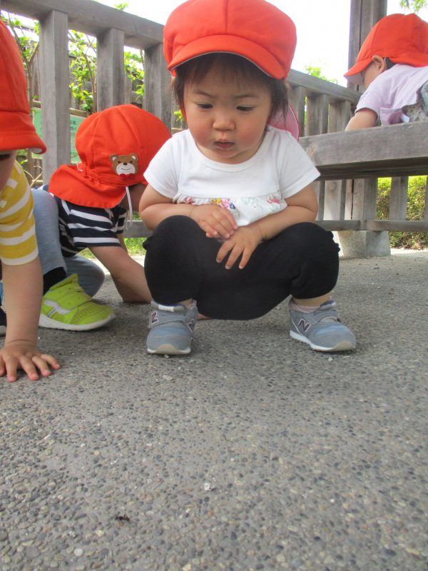 今週の子どもたち(*‘∀‘)