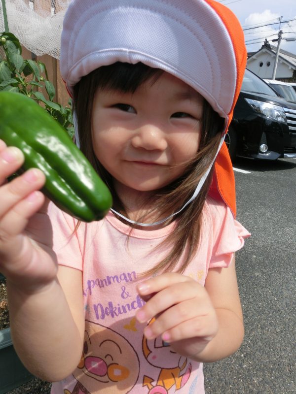 今週の子どもたち(*’▽’)