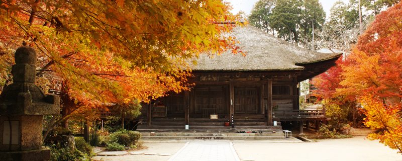 親子で行きたい湖南の初詣おすすめスポット