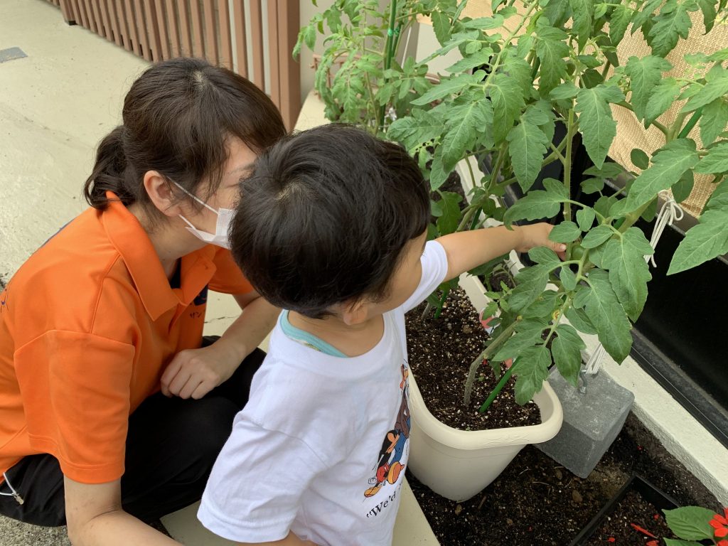 6月9日(水)の給食・おやつ