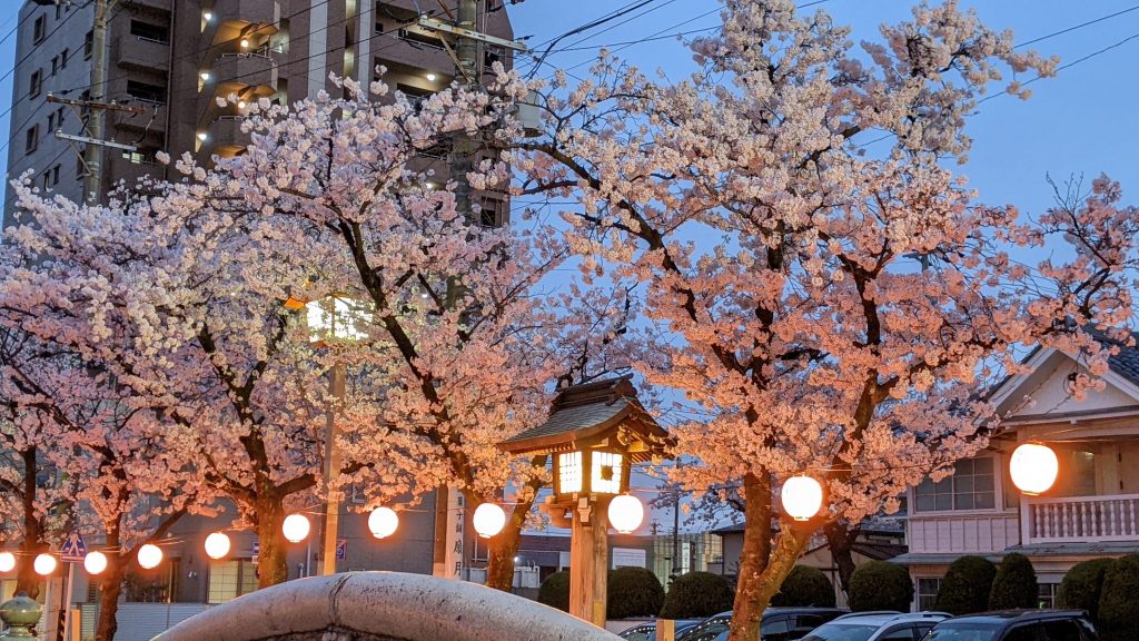 絵本ブログPart 122?