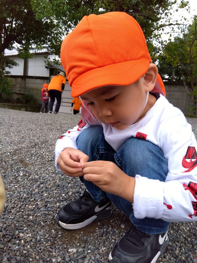 🍁今週の子どもたち🍄