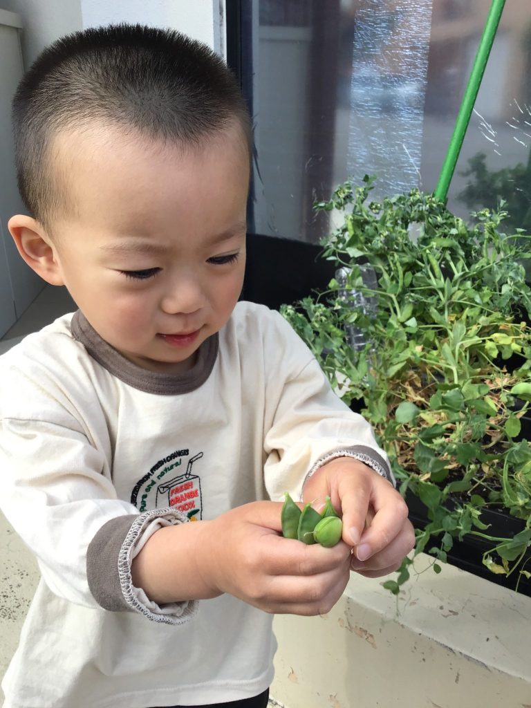 🦋4月の製作🌷︎