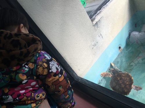 はやく、梅雨が明けないかな～！